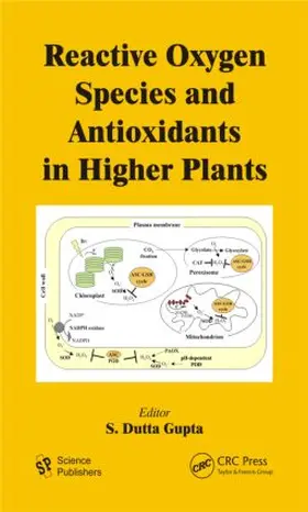 Gupta |  Reactive Oxygen Species and Antioxidants in Higher Plants | Buch |  Sack Fachmedien