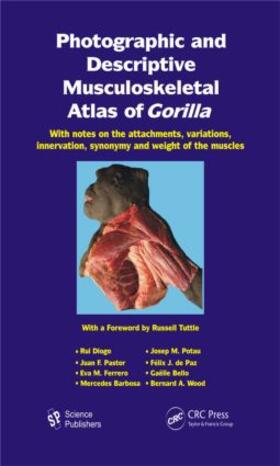 Diogo / Potau / Pastor |  Photographic and Descriptive Musculoskeletal Atlas of Gorilla | Buch |  Sack Fachmedien