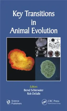 Desalle / Schierwater |  Key Transitions in Animal Evolution | Buch |  Sack Fachmedien