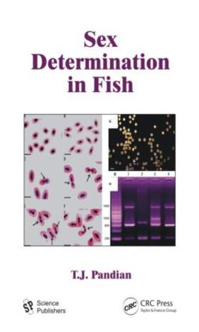 Pandian |  Sex Determination in Fish | Buch |  Sack Fachmedien