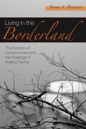 Bernstein |  Living in the Borderland | Buch |  Sack Fachmedien