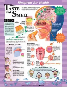  Blueprint for Health Your Taste and Smell Chart | Sonstiges |  Sack Fachmedien