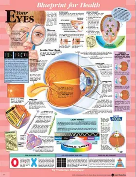  Blueprint for Health Your Eyes Chart | Sonstiges |  Sack Fachmedien