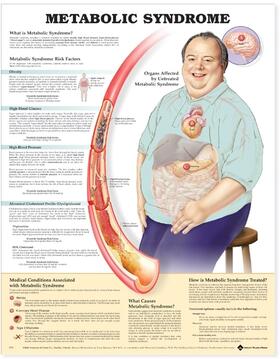  Metabolic Syndrome Anatomical Chart | Sonstiges |  Sack Fachmedien