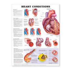  Heart Conditions | Sonstiges |  Sack Fachmedien