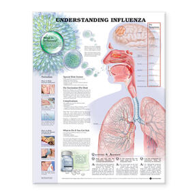 Understanding Influenza | Sonstiges | 978-1-58779-886-3 | sack.de