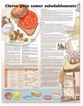  Keys to Healthy Eating Anatomical Chart in Spanish (Claves Para Una Alimentación Saludable) | Sonstiges |  Sack Fachmedien