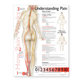  Understanding Pain Anatomical Chart | Sonstiges |  Sack Fachmedien