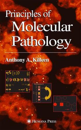 Killeen |  Principles of Molecular Pathology | Buch |  Sack Fachmedien