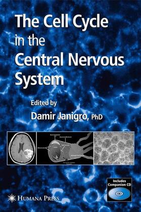 Janigro |  The Cell Cycle in the Central Nervous System | Buch |  Sack Fachmedien