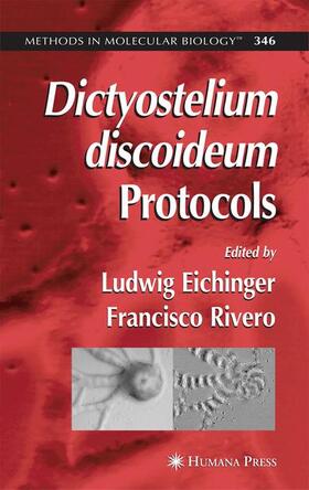 Eichinger |  Dictyostelium Discoideum Protocols | Buch |  Sack Fachmedien