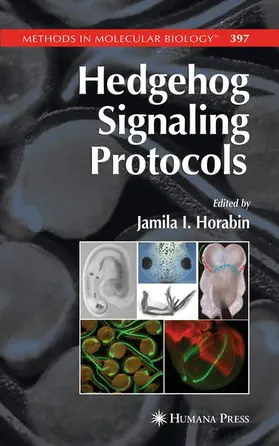 Horabin |  Hedgehog Signaling Protocols | Buch |  Sack Fachmedien