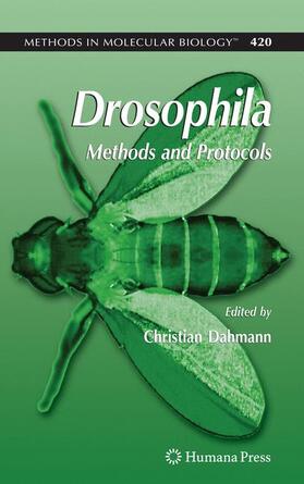 Dahmann |  Drosophila | Buch |  Sack Fachmedien