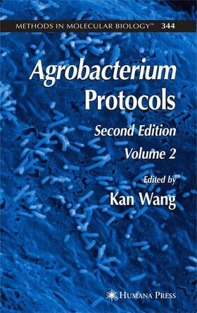 Wang |  Agrobacterium Protocols | Buch |  Sack Fachmedien