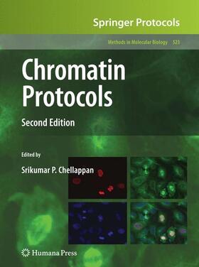 Chellappan |  Chromatin Protocols | Buch |  Sack Fachmedien