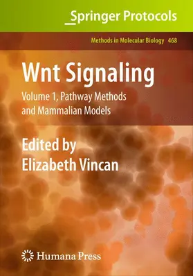 Vincan |  Wnt Signaling | Buch |  Sack Fachmedien