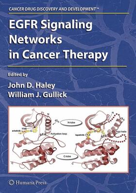 Gullick / Haley |  EGFR Signaling Networks in Cancer Therapy | Buch |  Sack Fachmedien