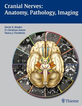 Binder / Sonne / Fischbein |  Cranial Nerves: Anatomy, Pathology, Imaging | Buch |  Sack Fachmedien