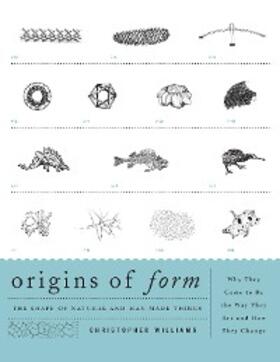 Williams |  Origins of Form | eBook | Sack Fachmedien