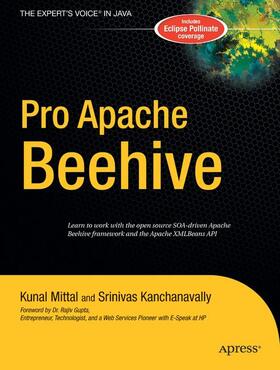 Kanchanavally / Mittal |  Pro Apache Beehive | Buch |  Sack Fachmedien