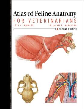 Hudson / Hamilton |  Atlas of Feline Anatomy for Veterinarians | Buch |  Sack Fachmedien