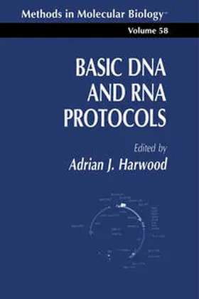 Harwood |  Basic DNA and RNA Protocols | eBook | Sack Fachmedien