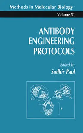 Paul |  Antibody Engineering Protocols | eBook | Sack Fachmedien