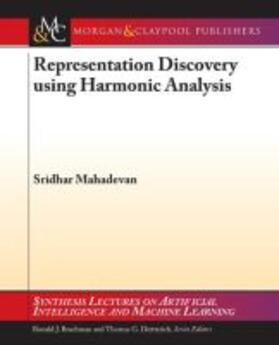  REPRESENTATION DISCOVERY USING | Buch |  Sack Fachmedien