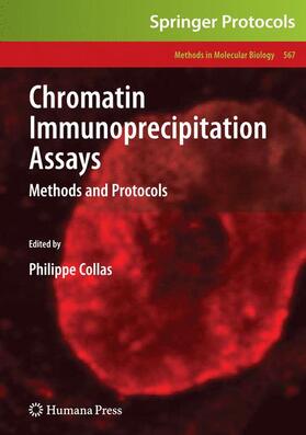 Collas | Chromatin Immunoprecipitation Assays | Buch | 978-1-60327-413-5 | sack.de