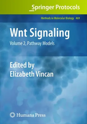 Vincan |  Wnt Signaling | Buch |  Sack Fachmedien