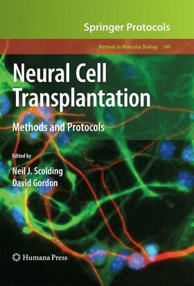 Scolding / Gordon |  Neural Cell Transplantation | Buch |  Sack Fachmedien