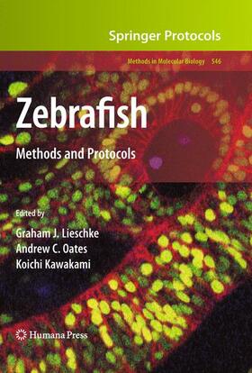 Lieschke / Kawakami / Oates |  Zebrafish | Buch |  Sack Fachmedien