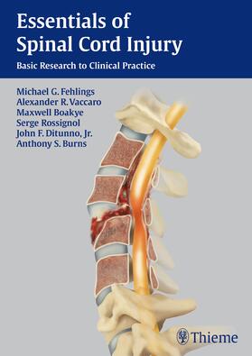 Fehlings / Vaccaro / Boakye |  Essentials of Spinal Cord Injury | Buch |  Sack Fachmedien