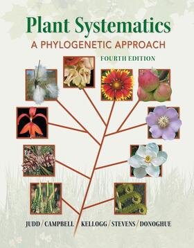 Judd / Campbell / Kellogg |  Plant Systematics | Buch |  Sack Fachmedien