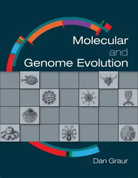 Graur |  Molecular and Genome Evolution | Buch |  Sack Fachmedien