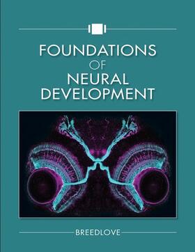 Breedlove |  Foundations of Neural Development | Buch |  Sack Fachmedien