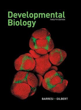 Barresi / Gilbert |  Developmental Biology | Buch |  Sack Fachmedien
