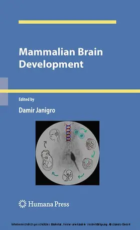 Janigro |  Mammalian Brain Development | eBook | Sack Fachmedien