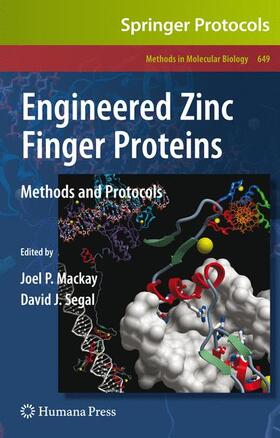 Segal / Mackay |  Engineered Zinc Finger Proteins | Buch |  Sack Fachmedien