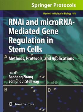 Stellwag / Zhang |  RNAi and microRNA-Mediated Gene Regulation in Stem Cells | Buch |  Sack Fachmedien