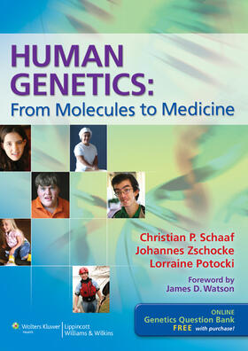 Schaaf / Zschocke / Potocki |  Human Genetics | Buch |  Sack Fachmedien