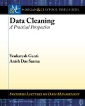  DATA CLEANING | Buch |  Sack Fachmedien