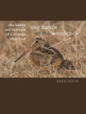 Hoch |  Sky Dance of the Woodcock: The Habits and Habitats of a Strange Little Bird | Buch |  Sack Fachmedien