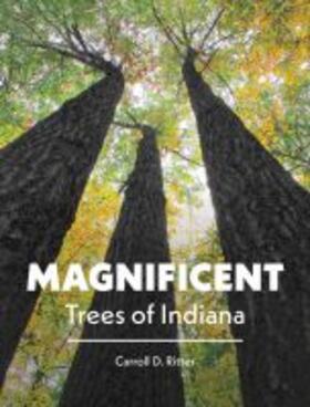Ritter |  Magnificent Trees of Indiana | Buch |  Sack Fachmedien
