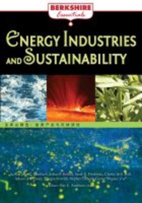  Energy Industries and Sustainability | Buch |  Sack Fachmedien