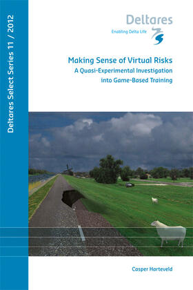 Harteveld |  Making Sense of Virtual Risks | Buch |  Sack Fachmedien