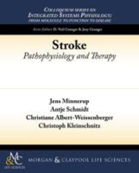 Minnerup / Schmidt / Albert-Weissenberger |  Stroke | Buch |  Sack Fachmedien