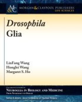Wang / Ho |  Drosophila Glia | Buch |  Sack Fachmedien