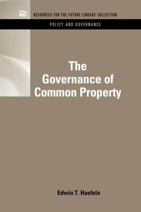 Haefele |  The Governance of Common Property Resources | Buch |  Sack Fachmedien