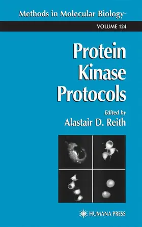 Reith |  Protein Kinase Protocols | Buch |  Sack Fachmedien